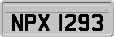 NPX1293