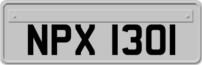 NPX1301