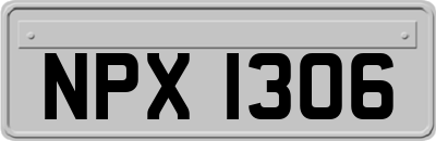 NPX1306
