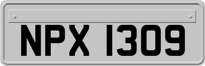 NPX1309