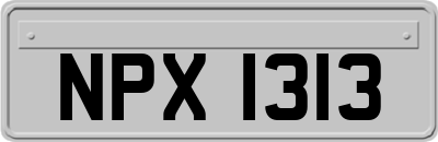 NPX1313