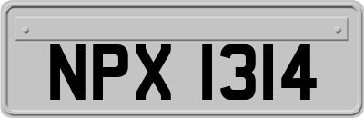 NPX1314