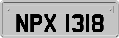 NPX1318