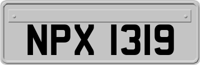 NPX1319