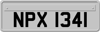 NPX1341