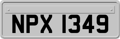 NPX1349