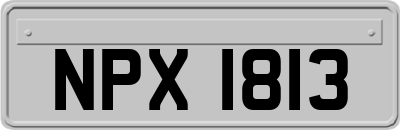 NPX1813