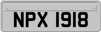 NPX1918