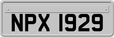 NPX1929