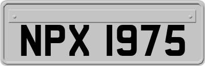 NPX1975