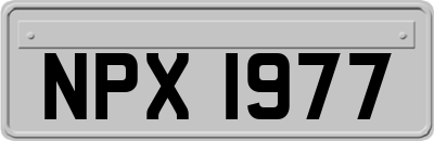 NPX1977
