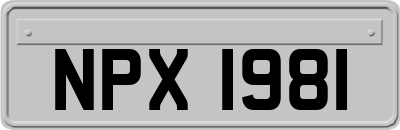 NPX1981