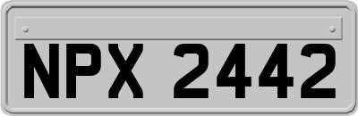 NPX2442