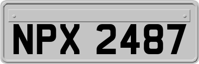 NPX2487