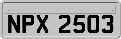 NPX2503