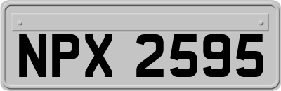 NPX2595
