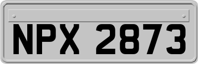 NPX2873