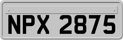 NPX2875