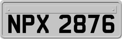 NPX2876