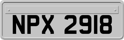 NPX2918