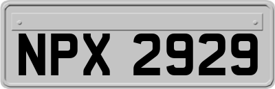 NPX2929