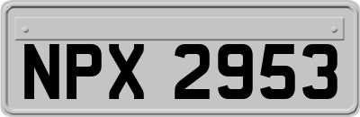 NPX2953