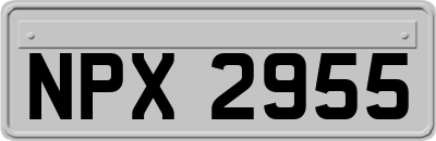 NPX2955