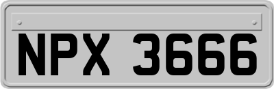 NPX3666