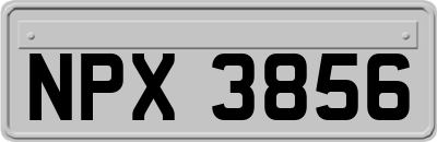 NPX3856