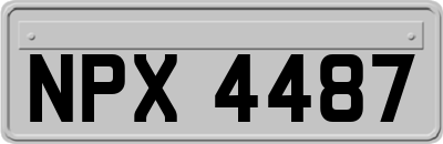 NPX4487