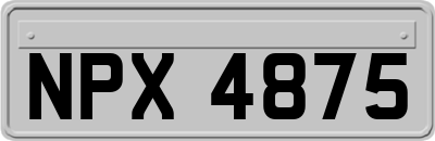 NPX4875