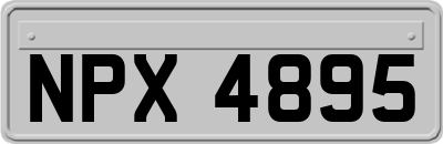 NPX4895