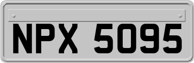 NPX5095