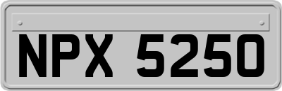 NPX5250