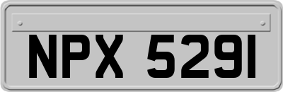 NPX5291
