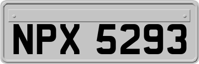 NPX5293