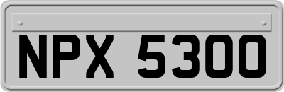 NPX5300