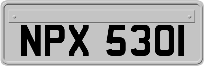 NPX5301