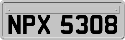 NPX5308