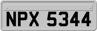 NPX5344