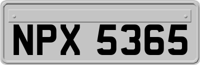 NPX5365
