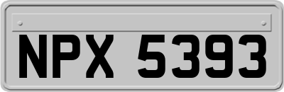 NPX5393