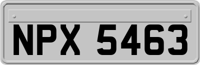 NPX5463