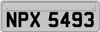 NPX5493