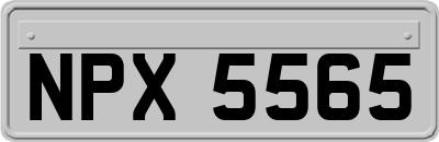 NPX5565