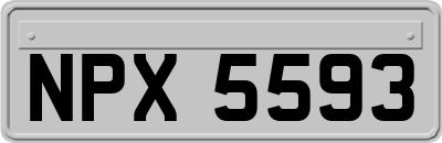 NPX5593