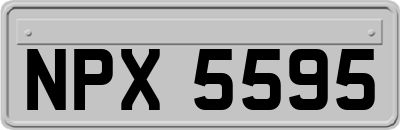 NPX5595