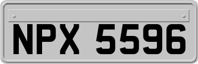 NPX5596
