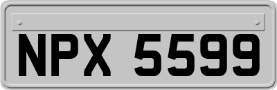 NPX5599