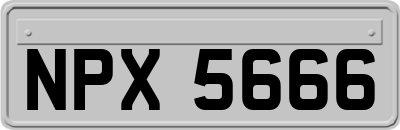 NPX5666